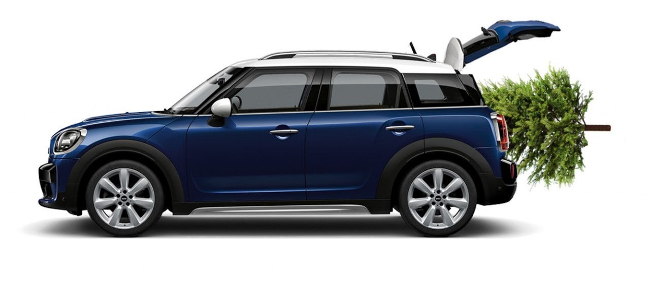 MINI POD STROMEČEK. MINI POD STROMEČEK.